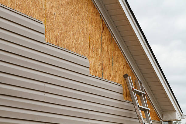 Professional Siding Contractor technician working in Winter Haven, FL